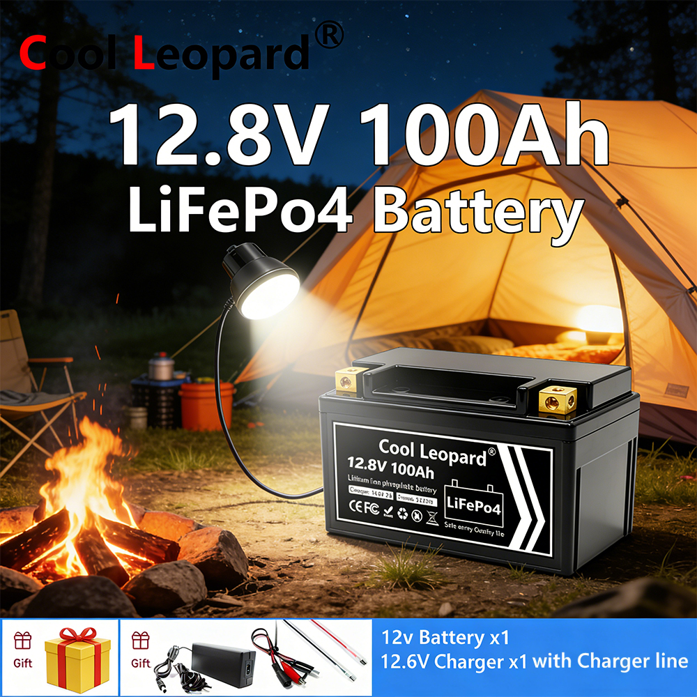Lightweight 12V 100Ah LiFePO4  - Fish Finder Charger reseña y precio