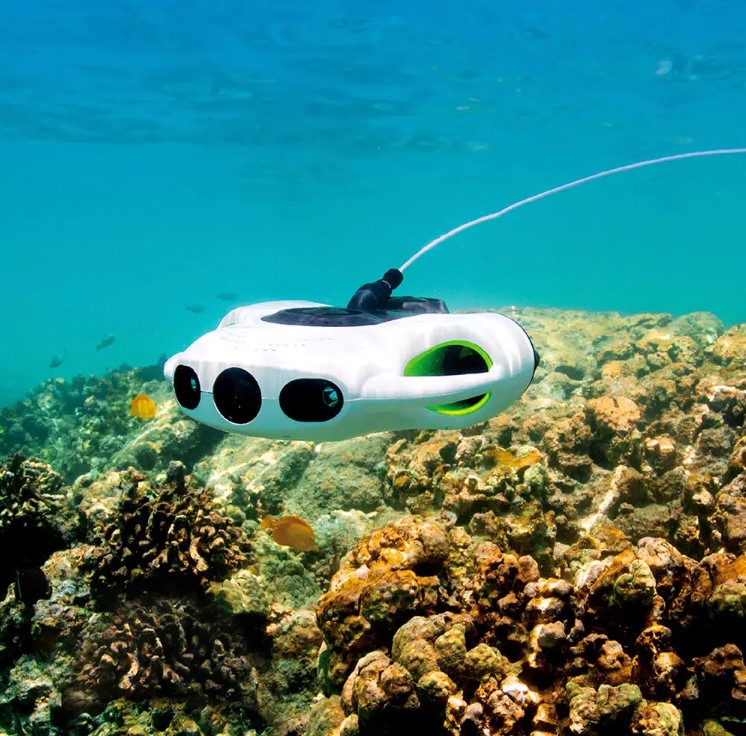 Camoro Mini Professional 4K Un - Underwater Camera reseña y precio